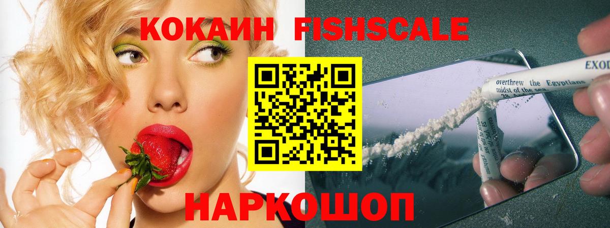 Cocaine Боливия  Вход с VPN  Киселёвск  Cocaine FishScale 