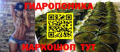ALPHA PVP Бийск